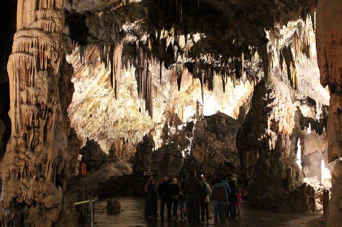 Best of Slovenia: Bled, Postojna, Ljubljana Day Tour from Zagreb - Time, pace, and how the guides keep you on track