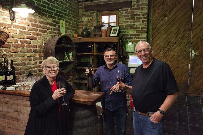 Castle & Wine Tasting - Private Day Trip from Zagreb - Private pickup from Zagreb: the convenience factor