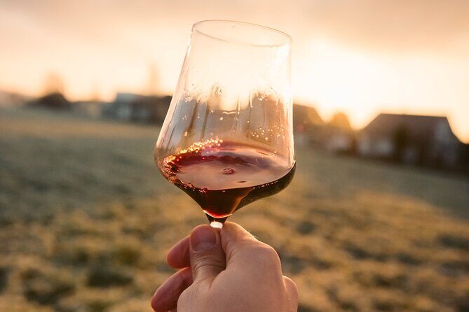 Castle & Wine Tasting - Private Day Trip from Zagreb - Price and value: what you’re really paying for