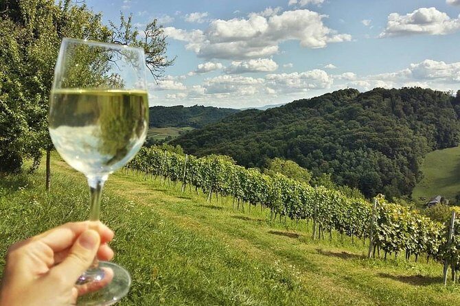 Fairytale Castle & Wine Tasting & Lunch - Price and Logistics From Zagreb: What You’re Really Paying For