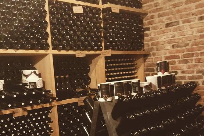 Fairytale Castle & Wine Tasting & Lunch - Should You Book This Fairytale Castle & Wine Tasting Tour?