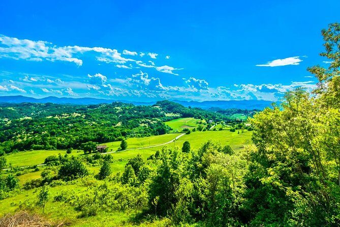 Fairytale Castle & Wine Tasting & Lunch - Trakošćan Castle: A Fairy-Tale Fortress With a Construction Footnote