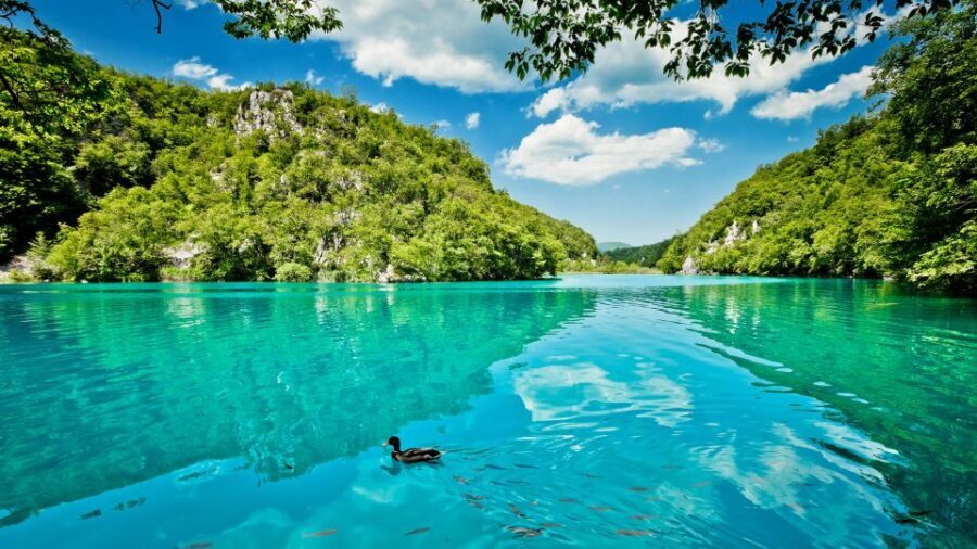 From Split: Transfer to Zagreb with Stop at Plitvice Lakes - Boat ride or panoramic train: how to choose the best part of the park