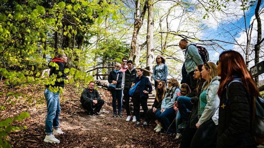 From Zagreb: Plitvice Lakes National Park Full-Day Tour - Boat ride and panoramic train: the best shortcuts for big views