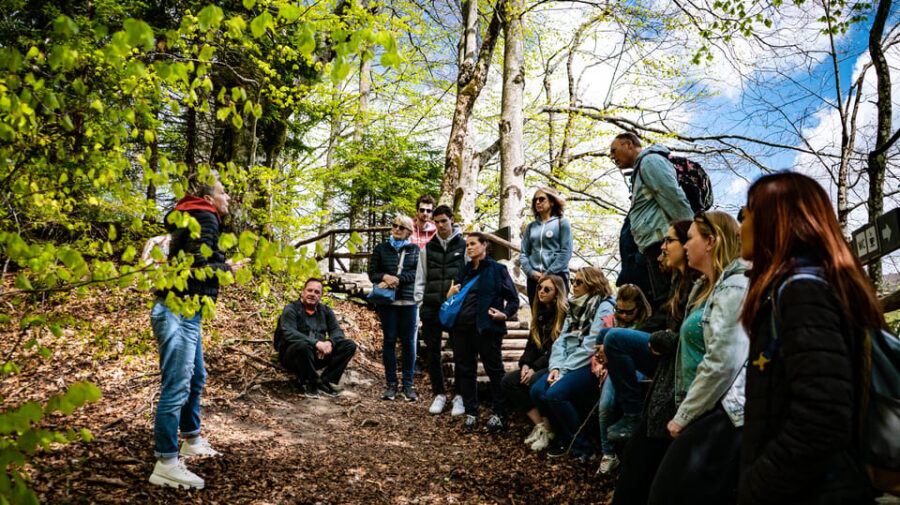 From Zagreb: Plitvice Lakes National Park Full-Day Tour - The 4.5-hour park walk: how to make the most of limited time