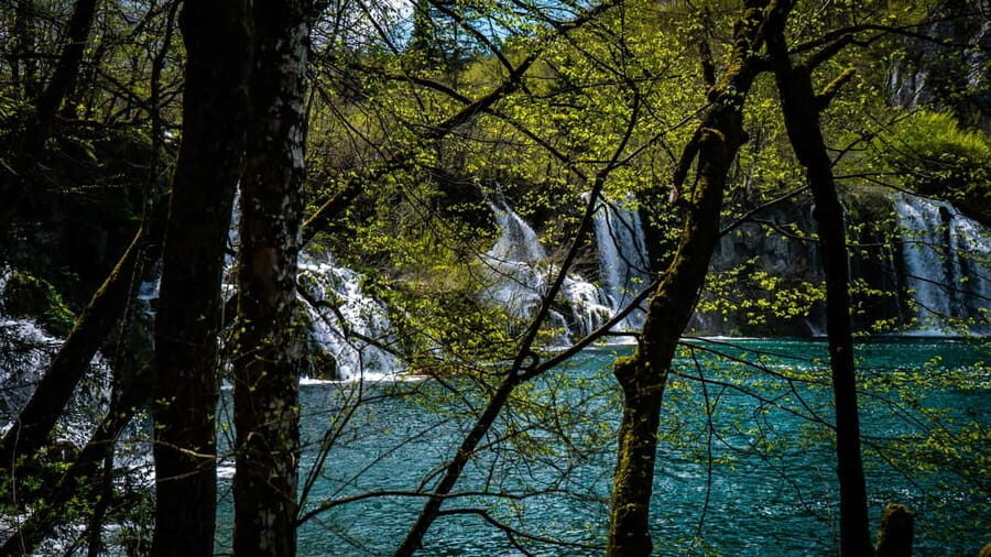 From Zagreb: Plitvice Lakes National Park Full-Day Tour - What you’ll likely remember: turquoise water, strong guiding, and a day well spent