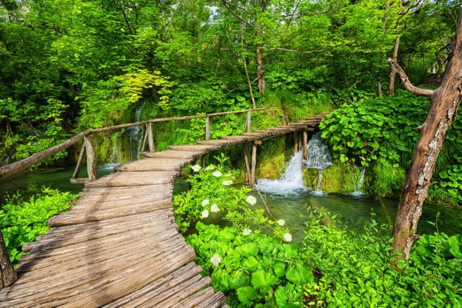 From Zagreb: Plitvice Lakes & Rastoke Private Tour - Guide Impact: Ned, Anđel, and Robert Make the Difference
