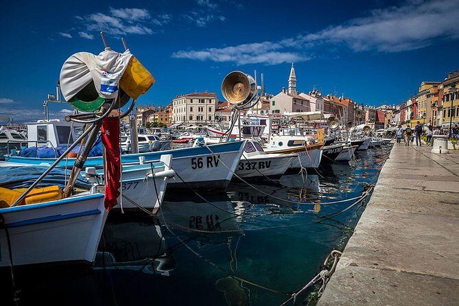 Highlights of Istria Full-Day Photo Tour from Zagreb - Your photo coach: how Igor-style guidance helps (even if you’re not advanced)