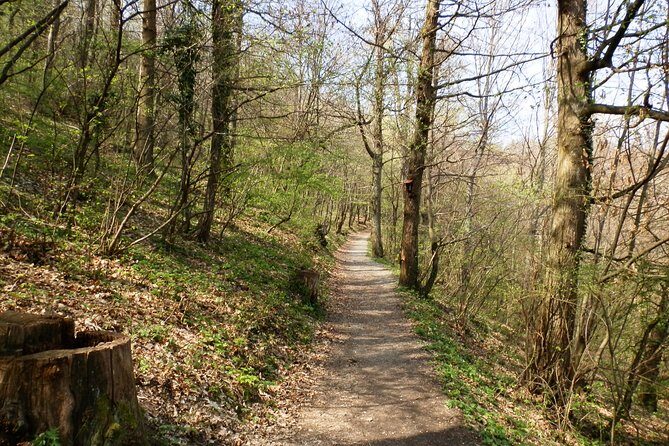 Medvednica Hiking and Chestnuts Picking Tour from Zagreb - Key highlights worth your attention