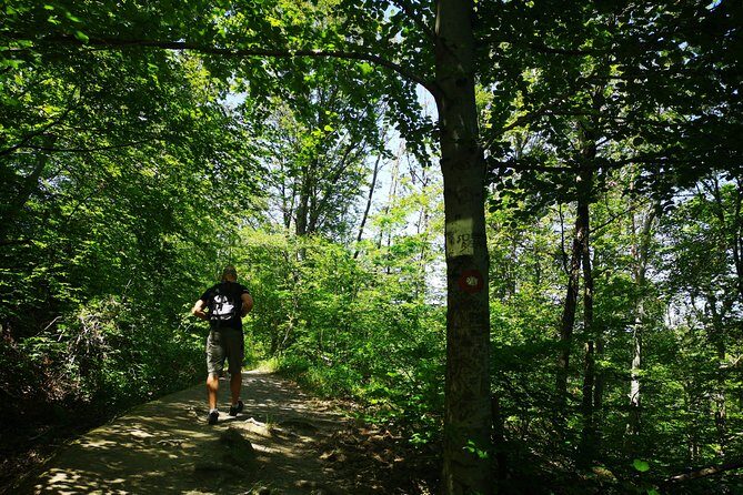 Perceive Zagreb Like a Local - Medvednica Nature Park Hiking - The local lunch idea: warm bean soup with sausages at the hut
