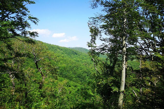 Perceive Zagreb Like a Local - Medvednica Nature Park Hiking - Hotel pickup and the quick start at Mapping Croatia