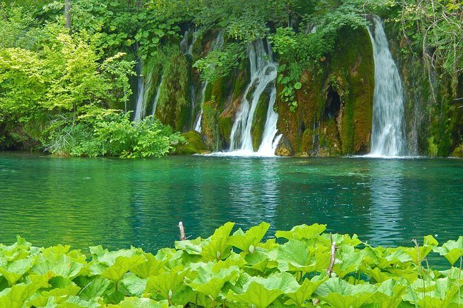 Plitvice Lakes Hidden Gems from Zagreb - The Plitvice Walk: Fern Carpets, Wooden Bridges, and Step Counts