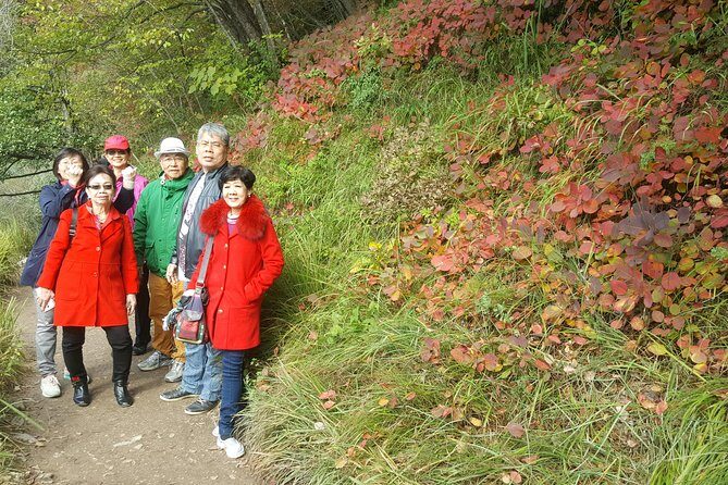 Plitvice Lakes Private Tour from Zagreb - Flexible Schedule - Meet the guides behind the day: Marko, Marco, and Frane