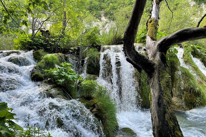 Private Day Trip: Stunning Plitvice Lakes and Rastoke from Zagreb - Price and Logistics: Is $238.28 per Person Worth It?