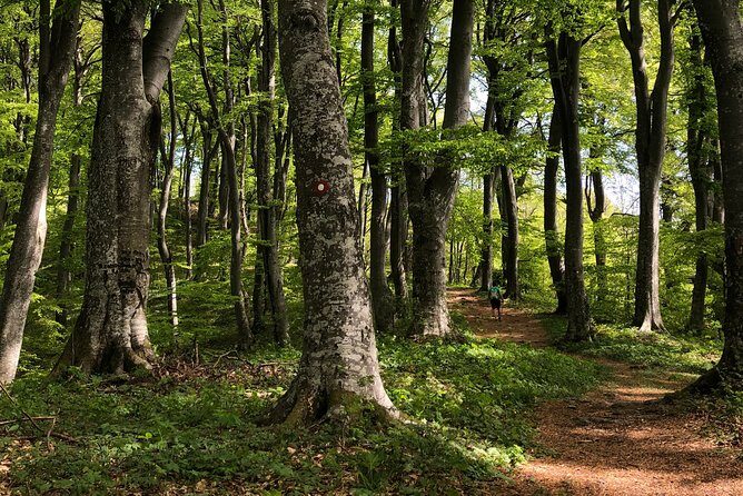 Private eclectic hiking experience of Samobor Hills - Old Town Samobor and Samobor Castle area