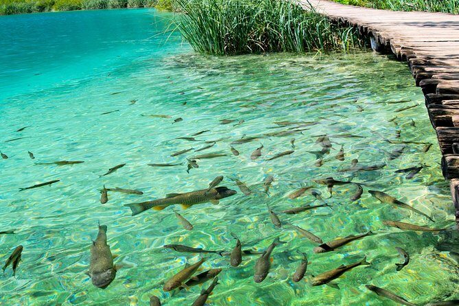 Private experience of Rastoke and Plitvice Lakes from Zagreb - The included picnic charcuterie board (and why it’s not a throwaway)