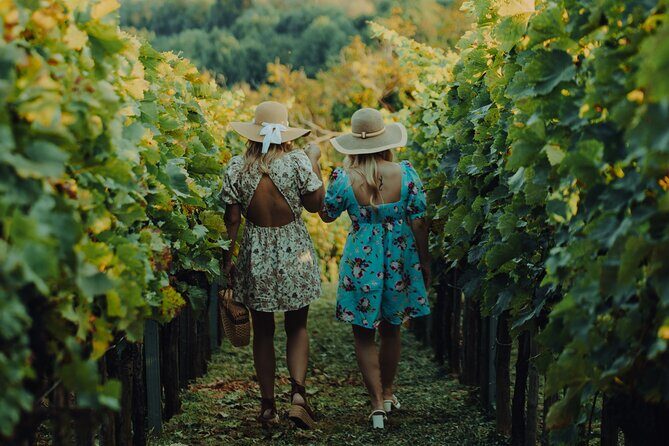 Private hedonistic food and wine experience from Zagreb - Key highlights you’ll care about