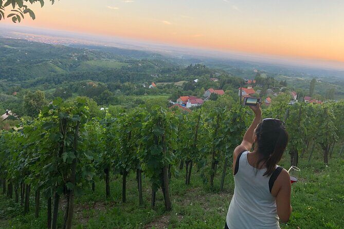 Private hedonistic food and wine experience from Zagreb - The Winemaker Tasting: Nine Varieties Plus Homemade Charcuterie