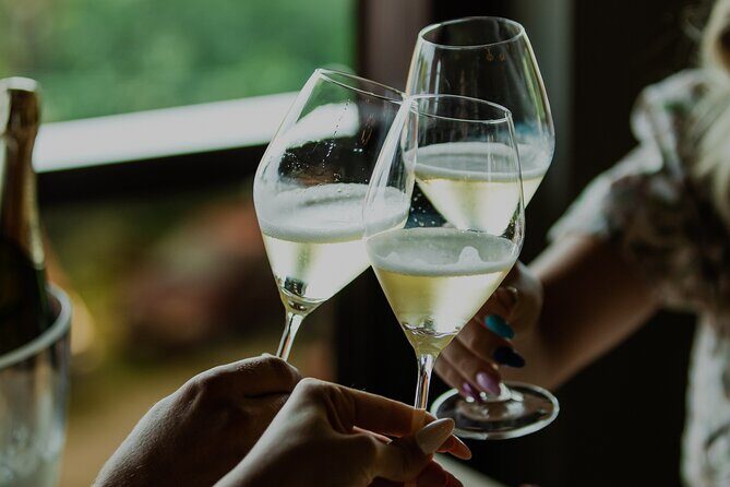 Private hedonistic food and wine experience from Zagreb - Price and Value: What $312.41 Covers (and Why It Adds Up)