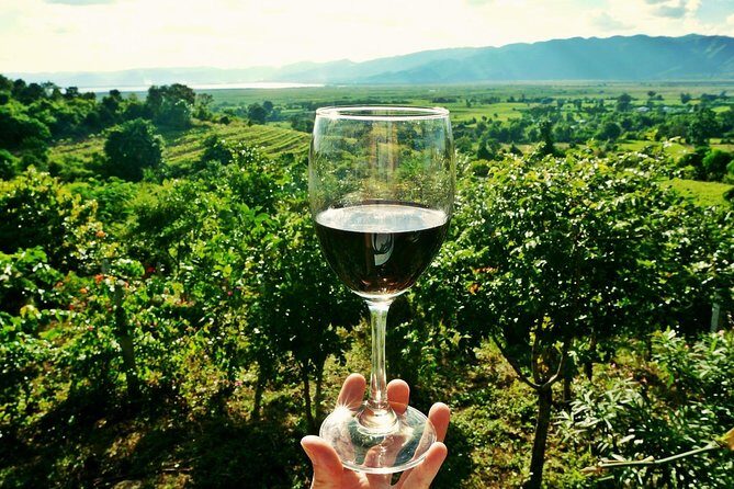 Private Wine Tour from Zagreb: Two Local Wineries & Samobor - Key things to know before you go