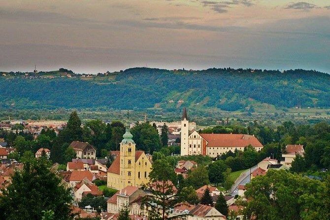 Private Wine Tour from Zagreb: Two Local Wineries & Samobor - Food pairings in the wineries: cheese, ham, and cold cuts with a purpose