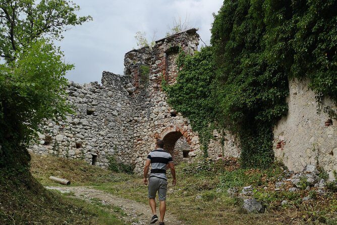 Private Wine Tour from Zagreb: Two Local Wineries & Samobor - Tour pacing with Tom/Tomislav: friendly, punctual, and question-friendly