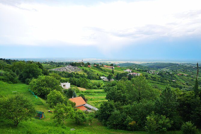 Private Wine Tour from Zagreb: Two Local Wineries & Samobor - Who this private Zagreb wine day suits best