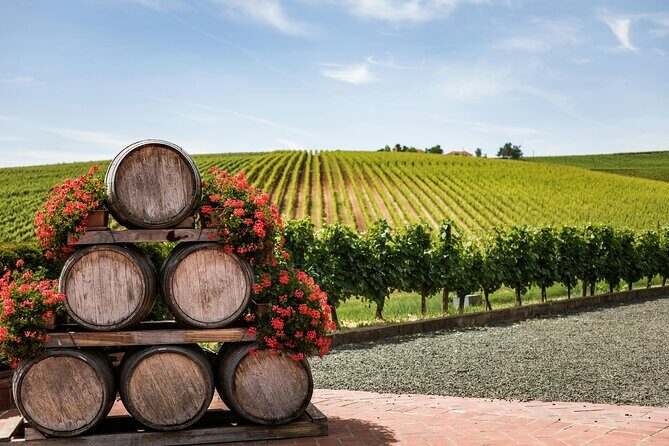 Private Wine Tour from Zagreb: Two Local Wineries & Samobor - Two local wineries in Plesivica: the tasting rhythm I’d follow