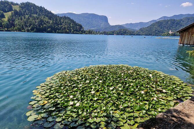 Slovenia's highlights: Bled lake and Ljubljana Full-Day Private Tour from Zagreb - Price and Value: What $219.42 Covers (and What You Still Pay for)