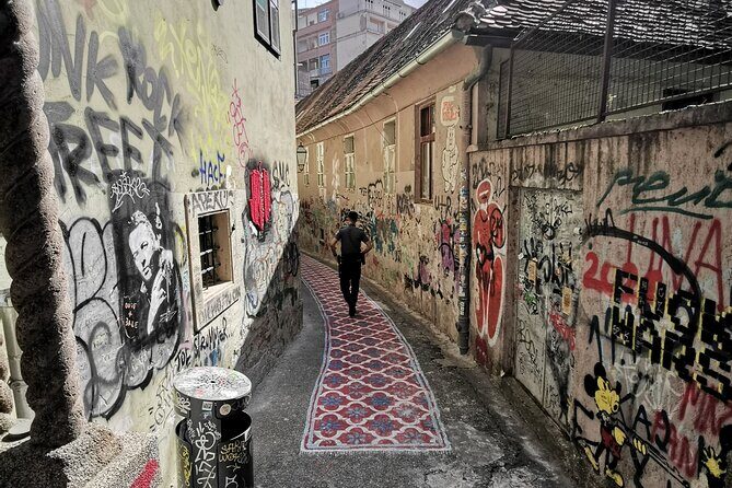 Zagreb Street Art Private Walking Tour with a Local Artist - Stop 1: Opatovina Park walls and the art of the close look