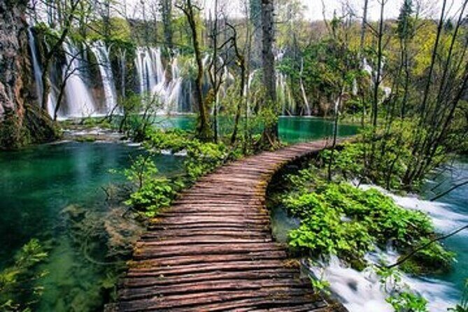 Zagreb to the PLITVICE MAGIC LAKES - 3+1 free or 6+1 free - Should you book Zagreb to Plitvice with this operator?
