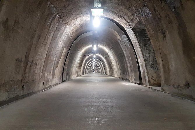 Zagreb Unveiled: Private walking tour with a local guide - Funicular Downtown: a fun ride with a real logistics catch